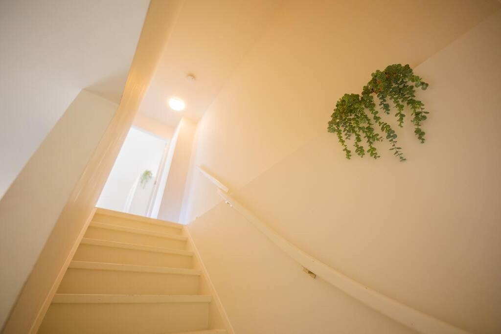Lovely 3 Bedroom Apartment In Eindhoven 65M2 - Sd23N المظهر الخارجي الصورة